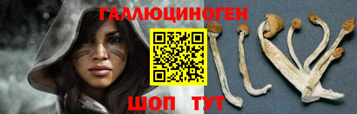 Галлюциногенные грибы мухоморы  Галлюциногенные грибы ЛСД  Вход с VPN  купить   Гусиноозёрск 