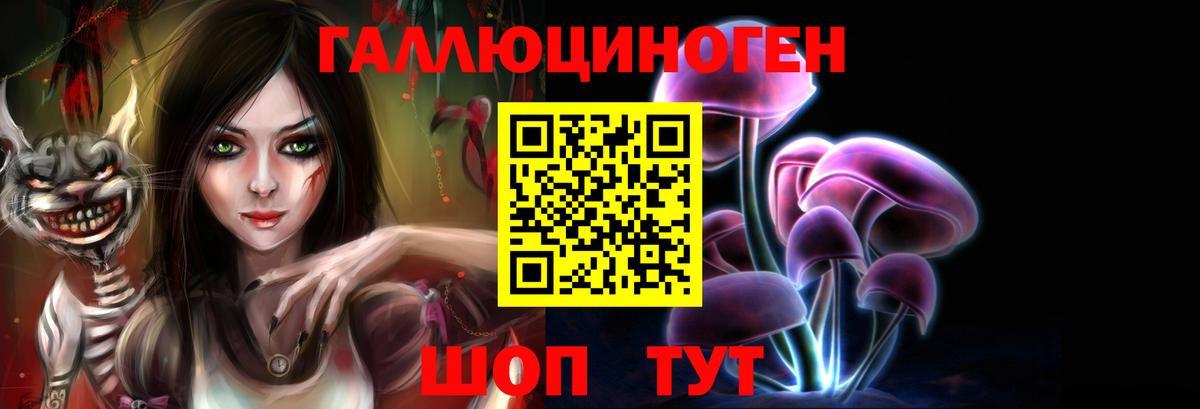 Галлюциногенные грибы Cubensis Гусиноозёрск